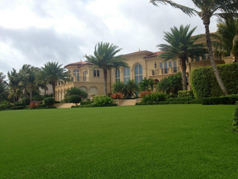 Artificial Grass The Home Depot.jpg