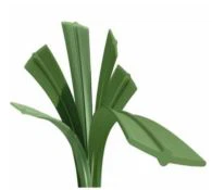 微信截图_20180915104341