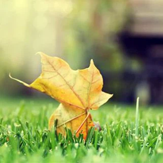 Populär 35mm Artificiell Fake Grass för Dekor Gummimattor