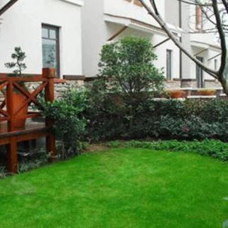 Fake Grass For Homes