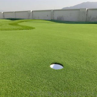 Fake Putting Green
