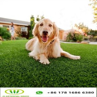 Syntetisk gräsmatta för hundar
