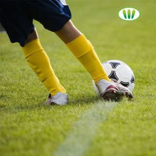 Syntetisk gräsmatta